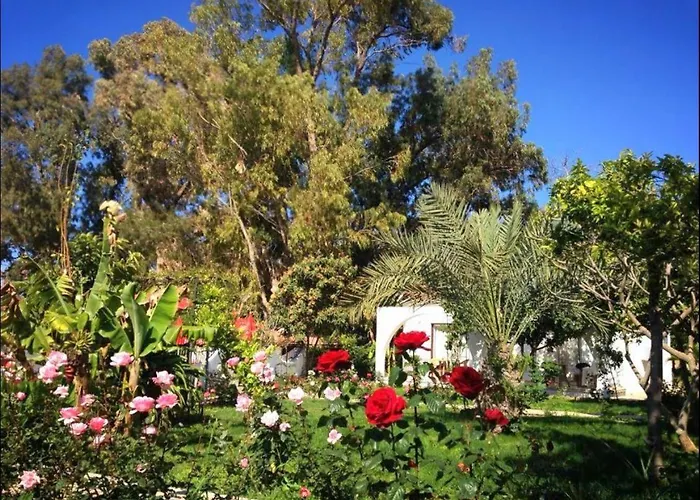 Mavi Konak Deluxe Rooms & Suits Cirénia