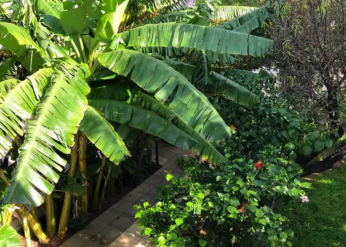 Mavi Konak Deluxe Rooms & Suits Casa de hóspedes