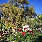 Jasmine Court Hotel & Spa Kyrenia (Northern Cyprus)