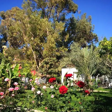 Jasmine Court Hotel & Spa קיירניה