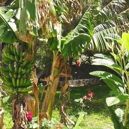 Pensión Mavi Konak Deluxe Rooms & Suits Kyrenia (Northern Cyprus)