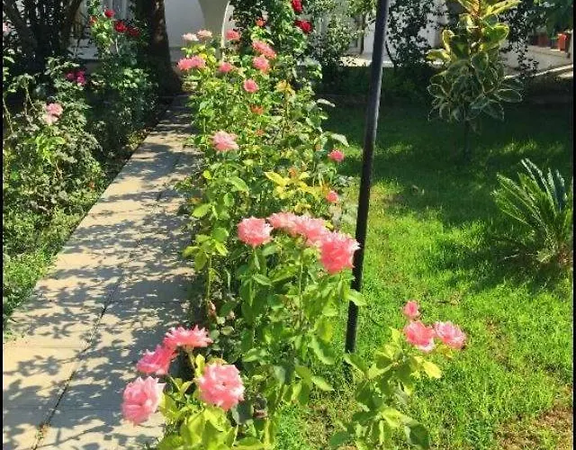 Mavi Konak Deluxe Rooms & Suits 3*