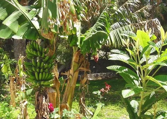 Pensjonat Mavi Konak Deluxe Rooms & Suits Kirenia