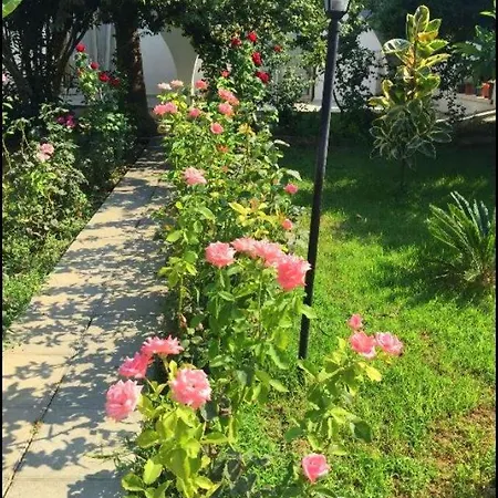 Rose Gardens Boutique & Pool & Restaurant 3*