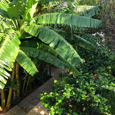 Rose Gardens Boutique & Pool & Restaurant Guest house